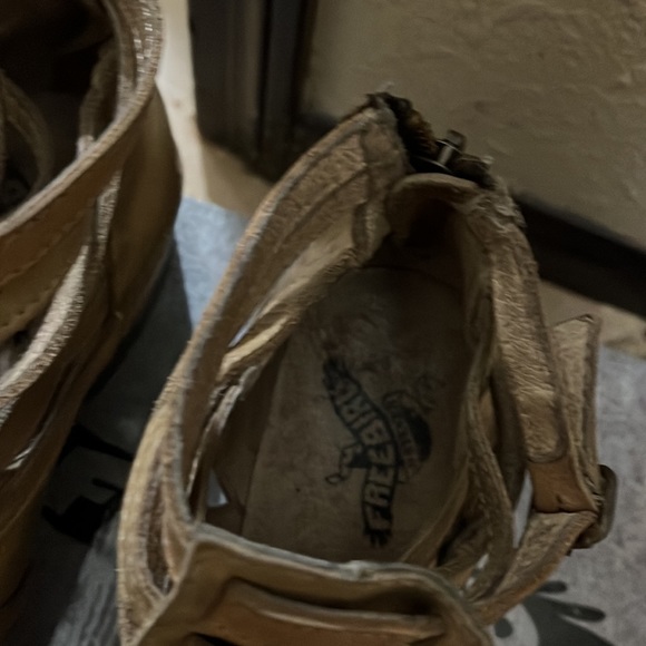 Freebird - Picture 2 of 3